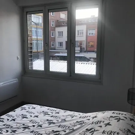 Apartman Superbe Appart, Hyper Centre De Dunkerque, Refait A Neuf, Ultra Equipe. *